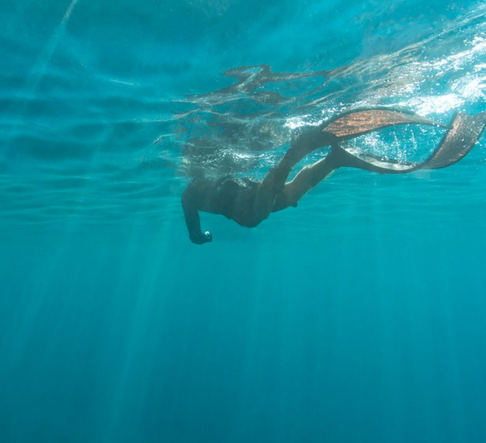Entretien de vos jardins 