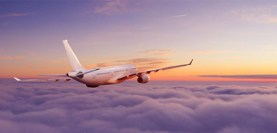 Entretien de vos jardins 