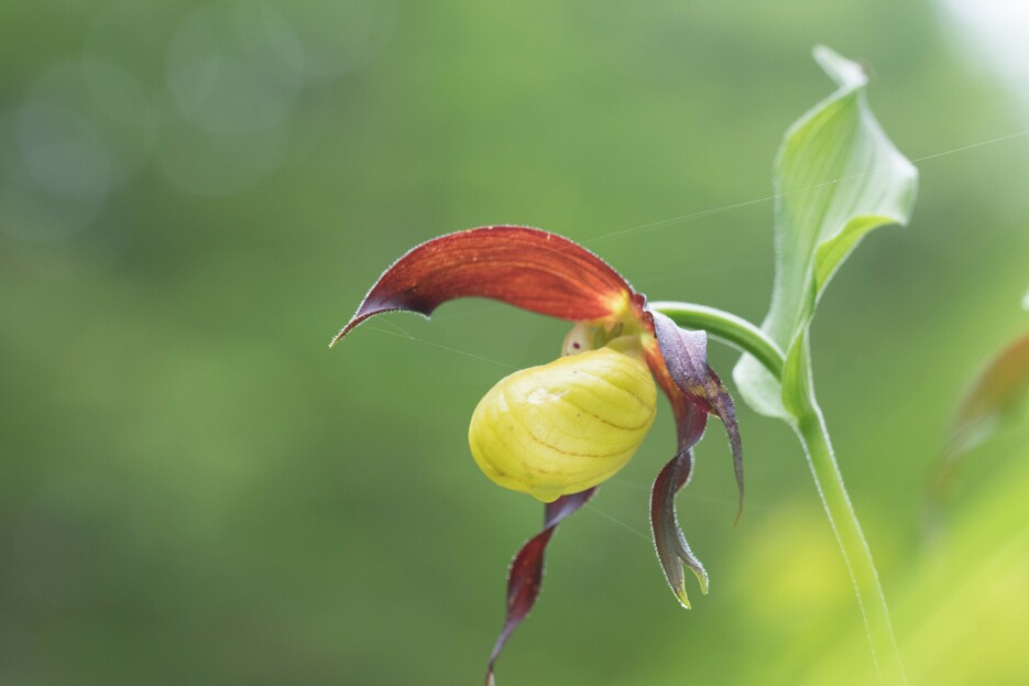 Nos soir�es et �v�nements