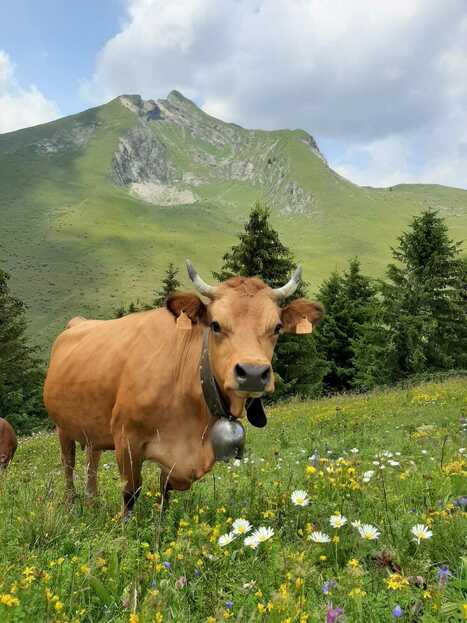 Un site internet avec un r�f�rencement