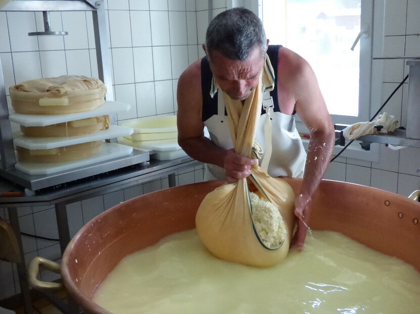 Débroussaillage Débroussaillage